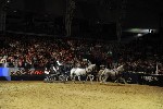 Extreme - 00936